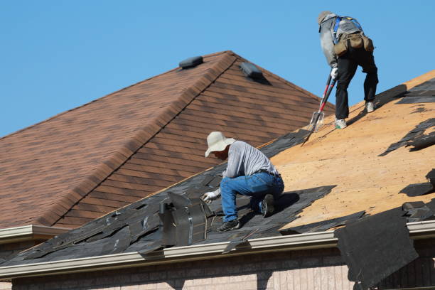 Asphalt Shingles Roofing in Waianae, HI